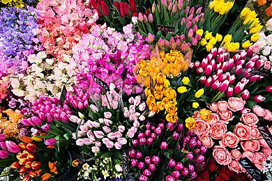 三国类幸存者游戏《斩将夺旗》Steam页面上线 发售日待定